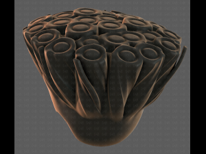 3D Hair style for boy V104 3D Model