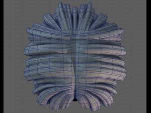 3D Hair style for boy V105 3D Model
