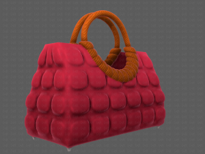 Bag V09 Model 3D