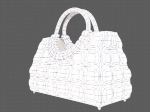 Bag V09 3D Model