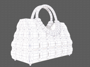 Bag V09 Model 3D