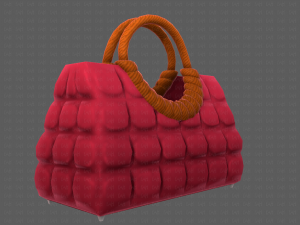 Bag V09 Model 3D