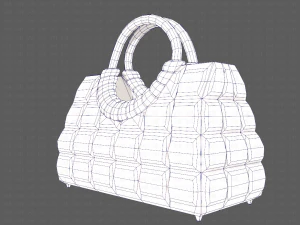 Bag V09 3D Model