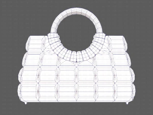 Bag V09 3D Model