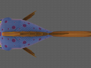 Fish V09 3Dモデル