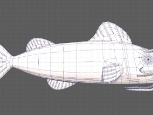 Fish V10 Model 3D