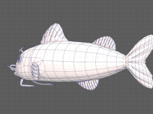 Fish V10 Model 3D