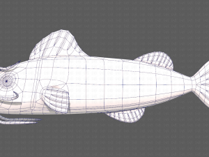 Fish V10 Model 3D
