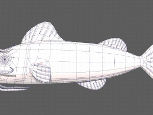 Balık V10 3D Model