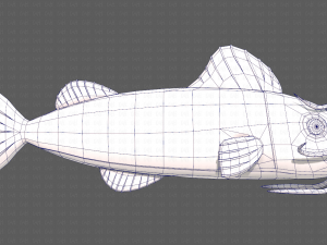 Fish V10 Model 3D