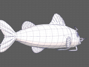 Fish V10 Model 3D