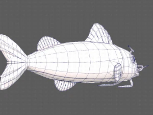 Balık V10 3D Model