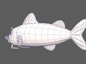 Fish V10 Model 3D