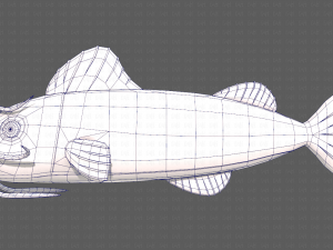 Fish V10 Model 3D