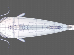 Fish V10 Model 3D