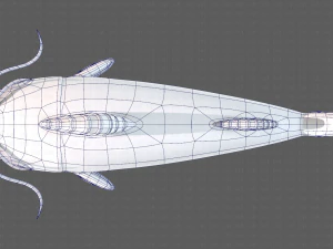 Balık V10 3D Model