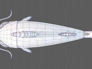 Fish V10 Model 3D