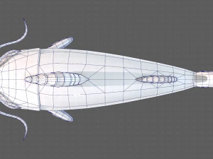 Balık V10 3D Model
