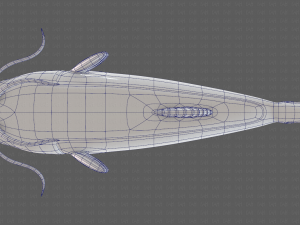 Fish V10 Model 3D
