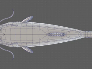 Balık V10 3D Model