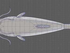 Fish V10 Model 3D