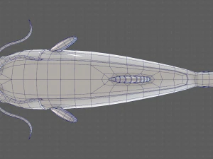 Balık V10 3D Model