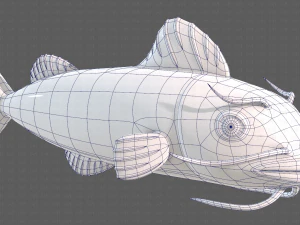 Balık V10 3D Model