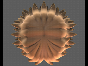 Base Hair for girl V51 Modelo 3D
