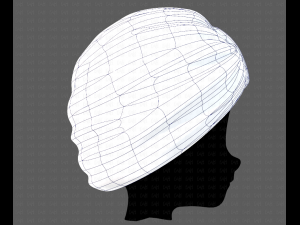 Cap V51 Model 3D