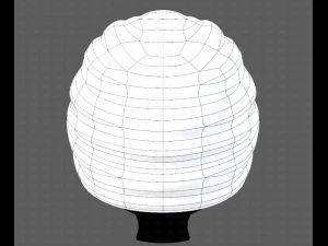 Cap V51 3D Model