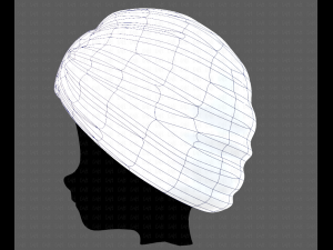 Cap V51 Model 3D