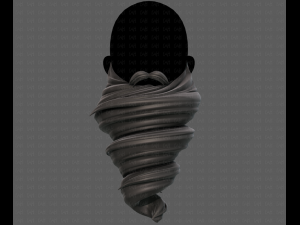 Beard V51 Model 3D