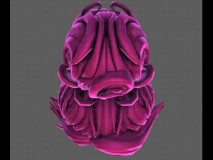 3D Hair style for girl V111 3D Model