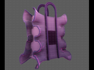 Bag V11 3D Model