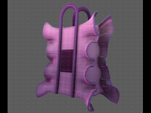 Bag V11 3D Model