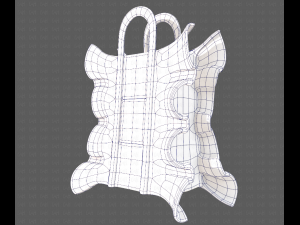 Bag V11 3D Model