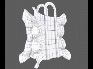 Bag V11 3D Model