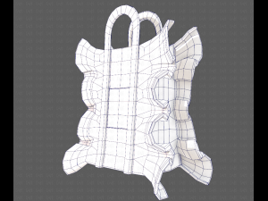 Bag V11 3D Model