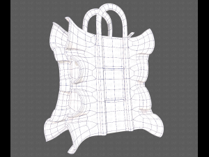 Bag V11 3D Model