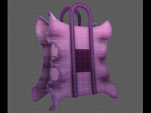 Bag V11 3D Model