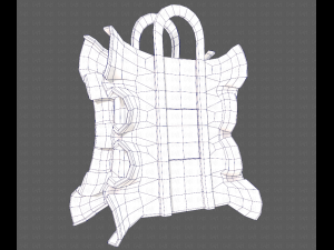 Bag V11 3D Model