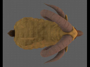 Sheep V02 3D Model