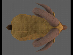 Sheep V02 3D Model