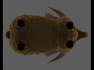 Sheep V02 3D Model