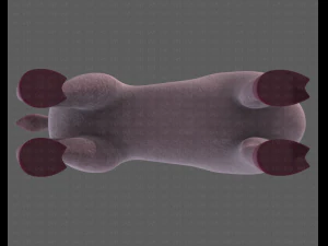 Deer V03 3D Model