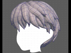 Base Hair for Boy V52 3D Model