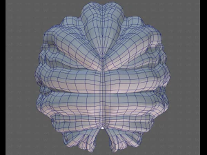 Base Hair for girl V52 3D Model