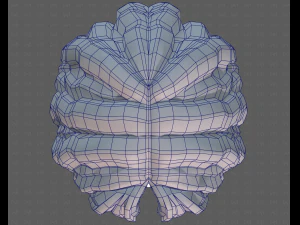 Base Hair for girl V52 3D Model