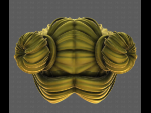 3D Hair style for girl V112 Modelo 3D