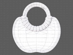 Bag V12 3D Model